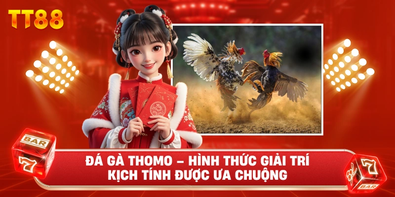 Đá Gà Thomo – Hình Thức Giải Trí Kịch Tính Được Ưa Chuộng