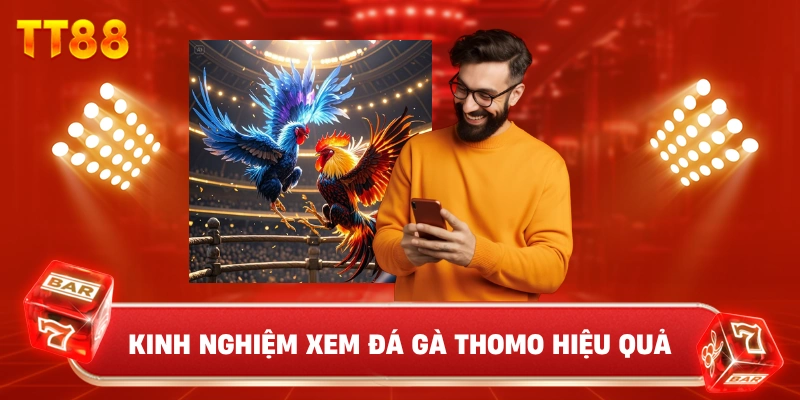 Kinh Nghiệm Xem Đá Gà Thomo Hiệu Quả